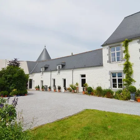 Modern Holiday In With Garden